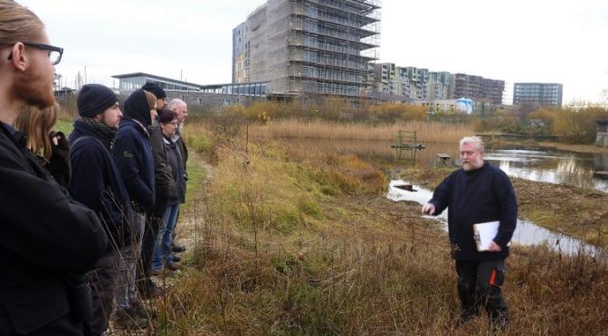 Wildlife Sites in Urban Areas – Greenwich Ecology Park