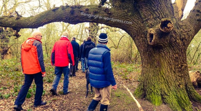 Report: Tree Identification training at Langdon Hills